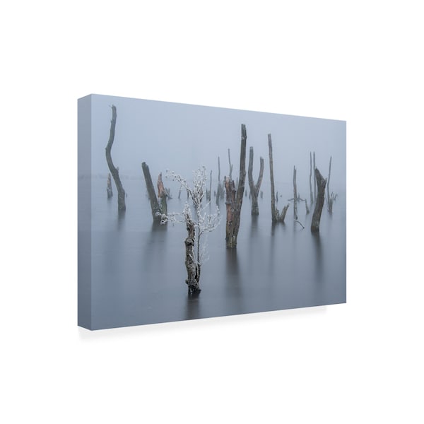 Piet Haaksma 'Frozen And Foggy World' Canvas Art,16x24